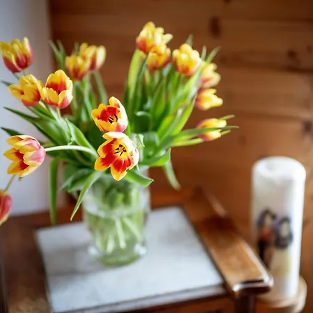 Berggasthof Geislerhof Homestay *