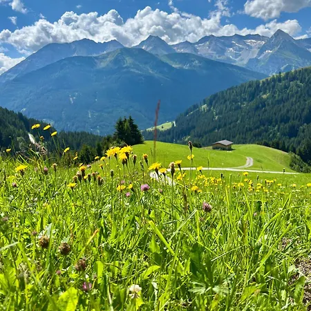 Berggasthof Geislerhof *